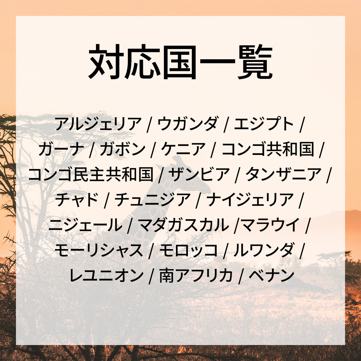 …World one eSIM…アフリカ周遊【22ヶ国】