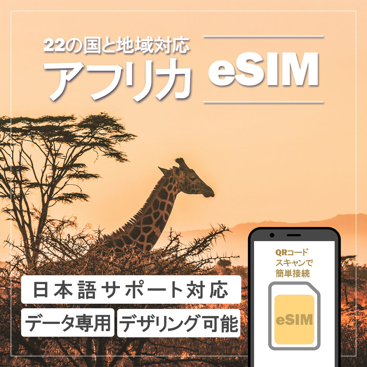 …World one eSIM…アフリカ周遊【22ヶ国】